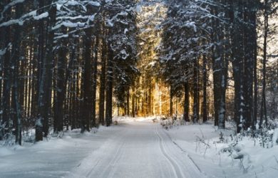 Zimske carolije sastav