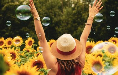 Šta je sreća - sastav